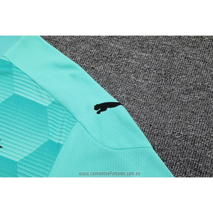 Camiseta del Borussia Dortmund Portero Manga Larga 2020-2021 Verde